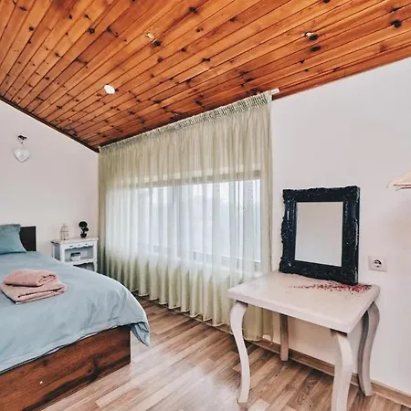 фреди Вилла Варна