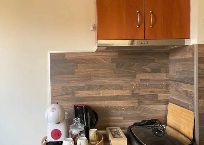 别墅 фреди 瓦爾納