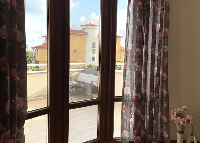 фреди * 瓦爾納